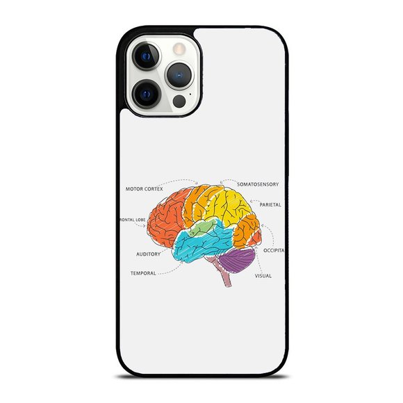 Funny Neuroscience Anatomy Of Brain Nerve Neurologist iPhone Case - Picture 1 of 1